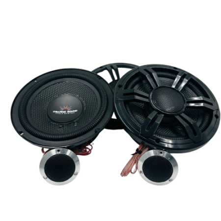 CS6002 350W 90RMS (كومبانينت)